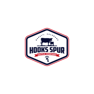 Design de Logo par 1975oliverocampo pour ce projet | Design : #30145053