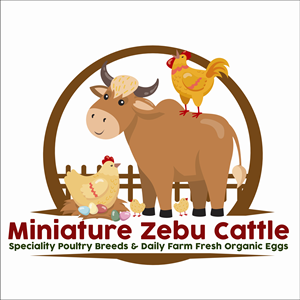 Logo Design by farizanm