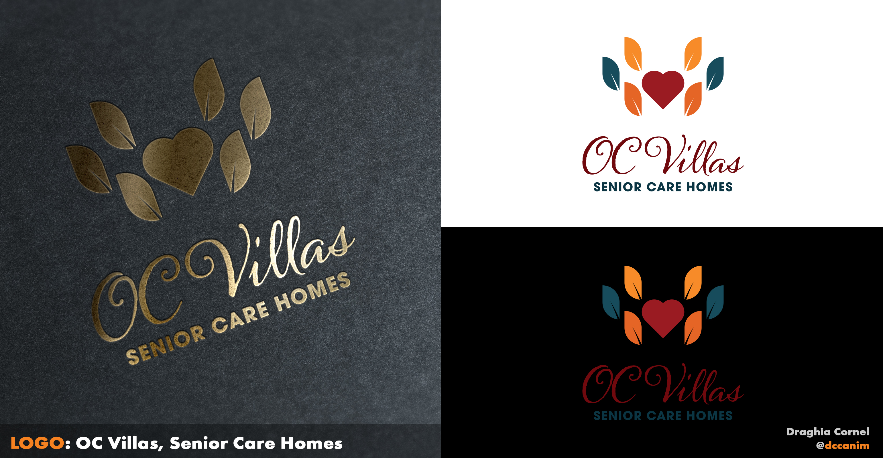 Diseño de Logo por dccanim para este proyecto | Diseño #29996932