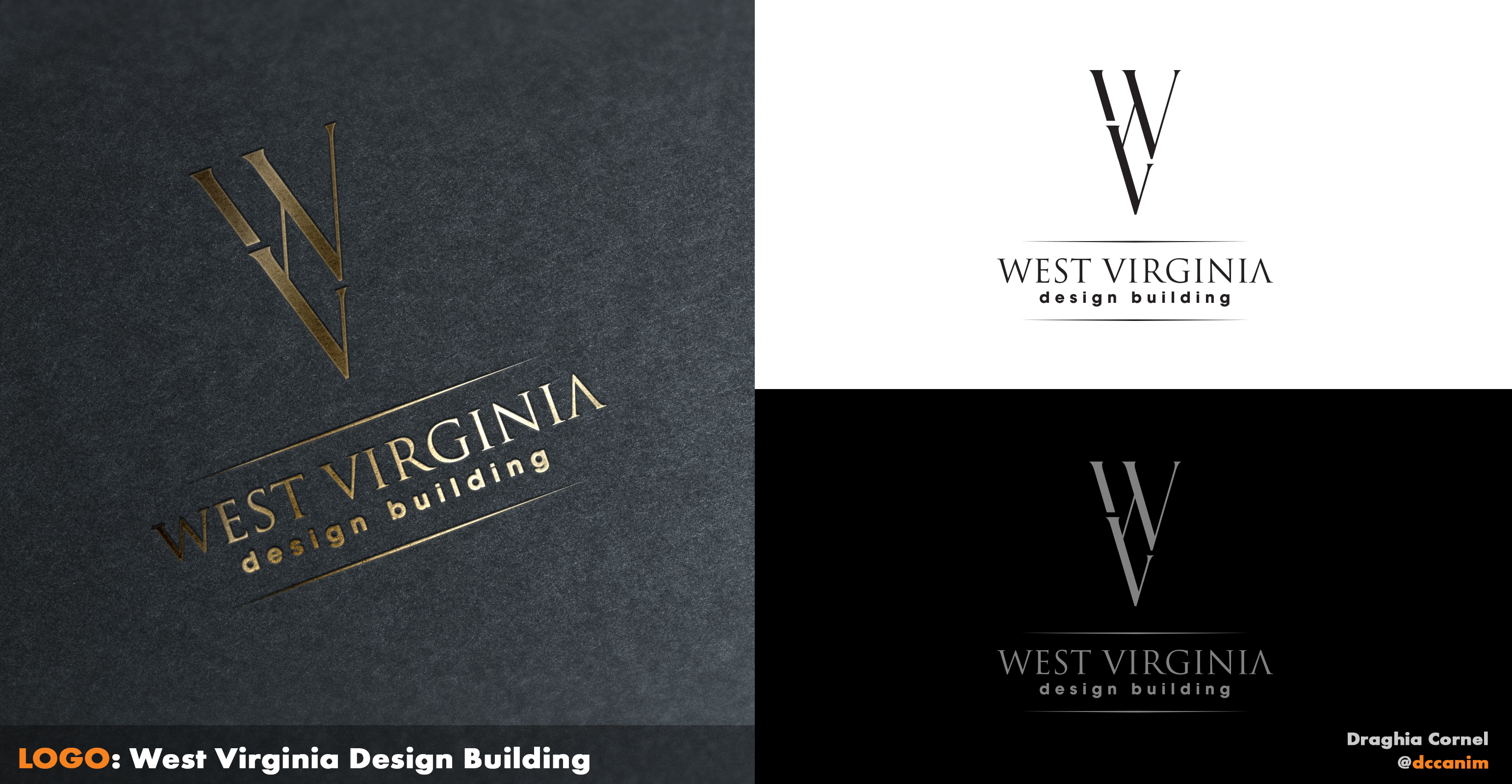 Diseño de Logo por dccanim para este proyecto | Diseño #29997001