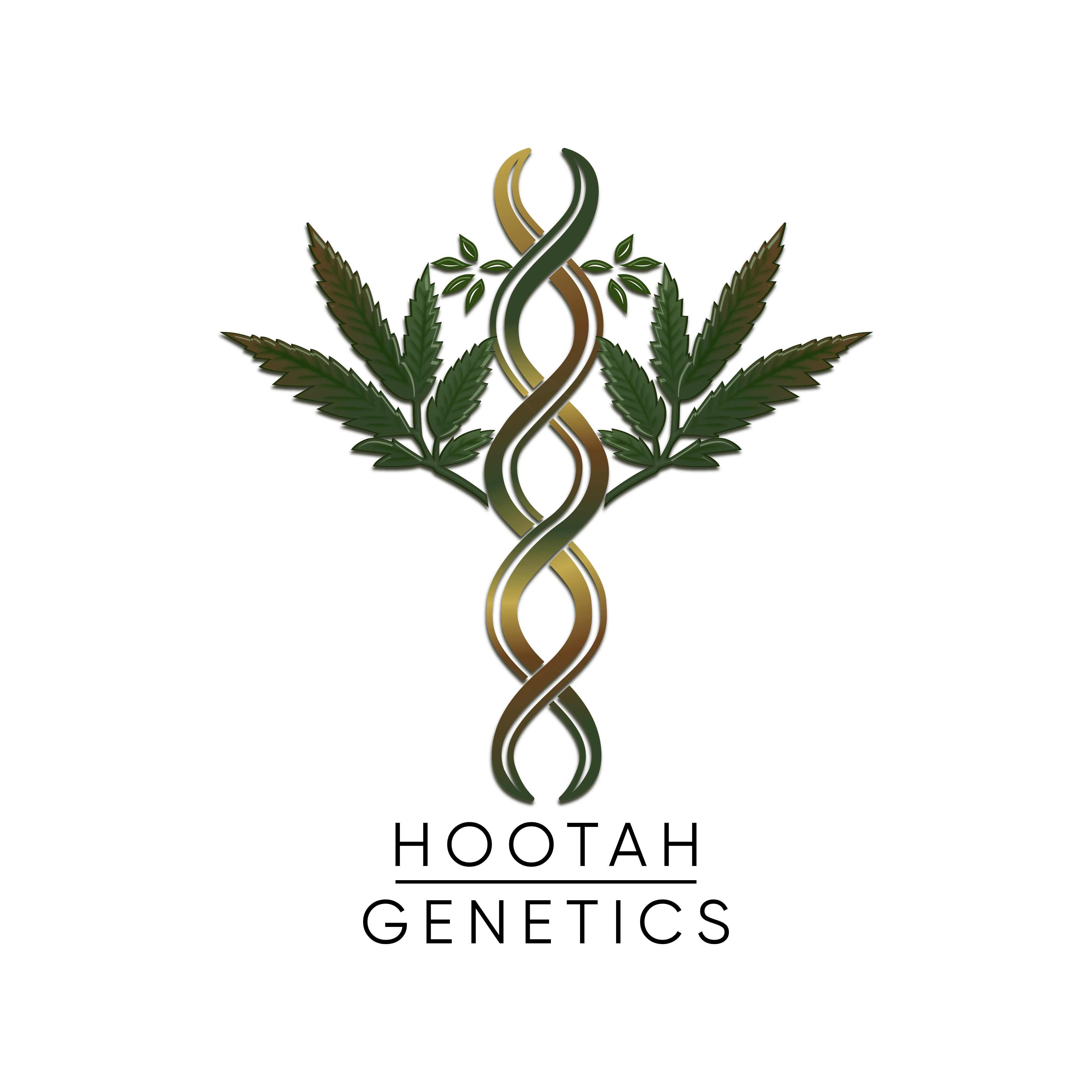 Logo Design by Harold C for this project | Design #30324439