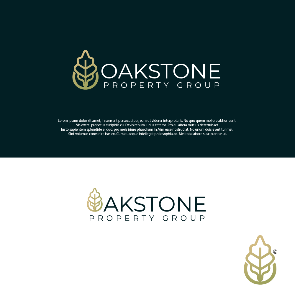 Logo Design by farady for this project | Design #30039744