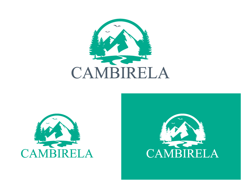 Logo Design by Cliping_path for Cambirela Asset | Design #30009666