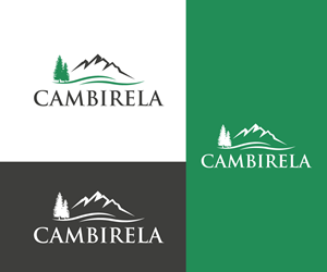 Logo-Design von oscar raise für Cambirela Asset | Design: #30035813