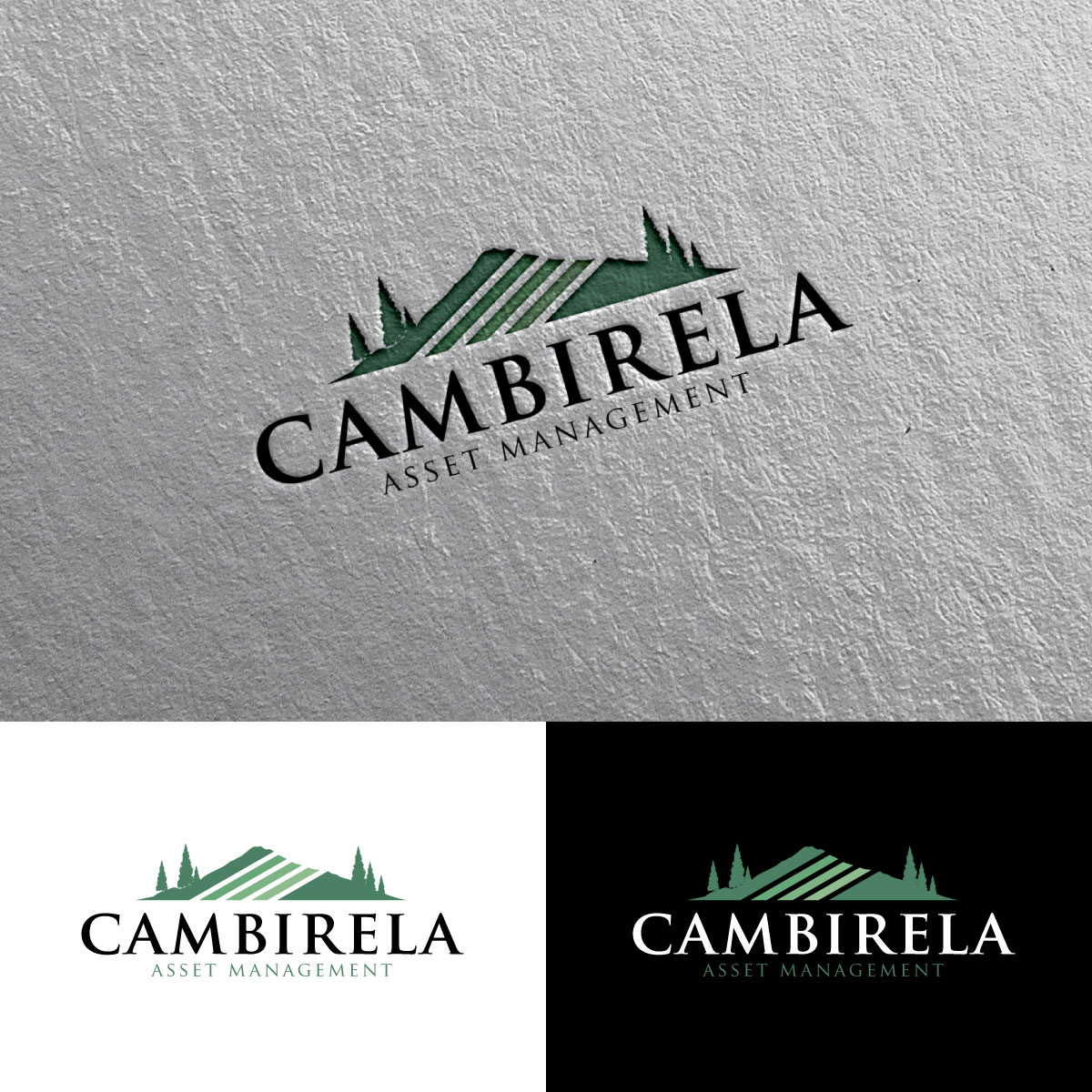 Logo-Design von chris Ray für Cambirela Asset | Design #30012235