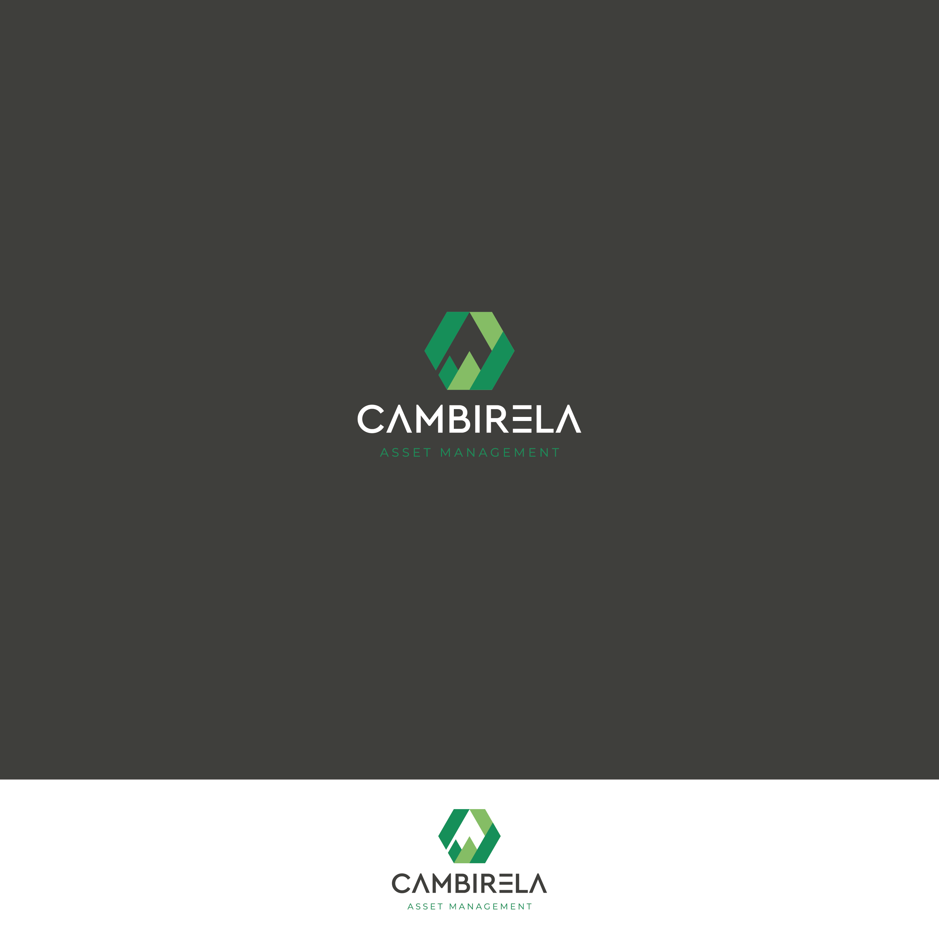 Logo-Design von Verified artistry (Design garden) für Cambirela Asset | Design #30045453