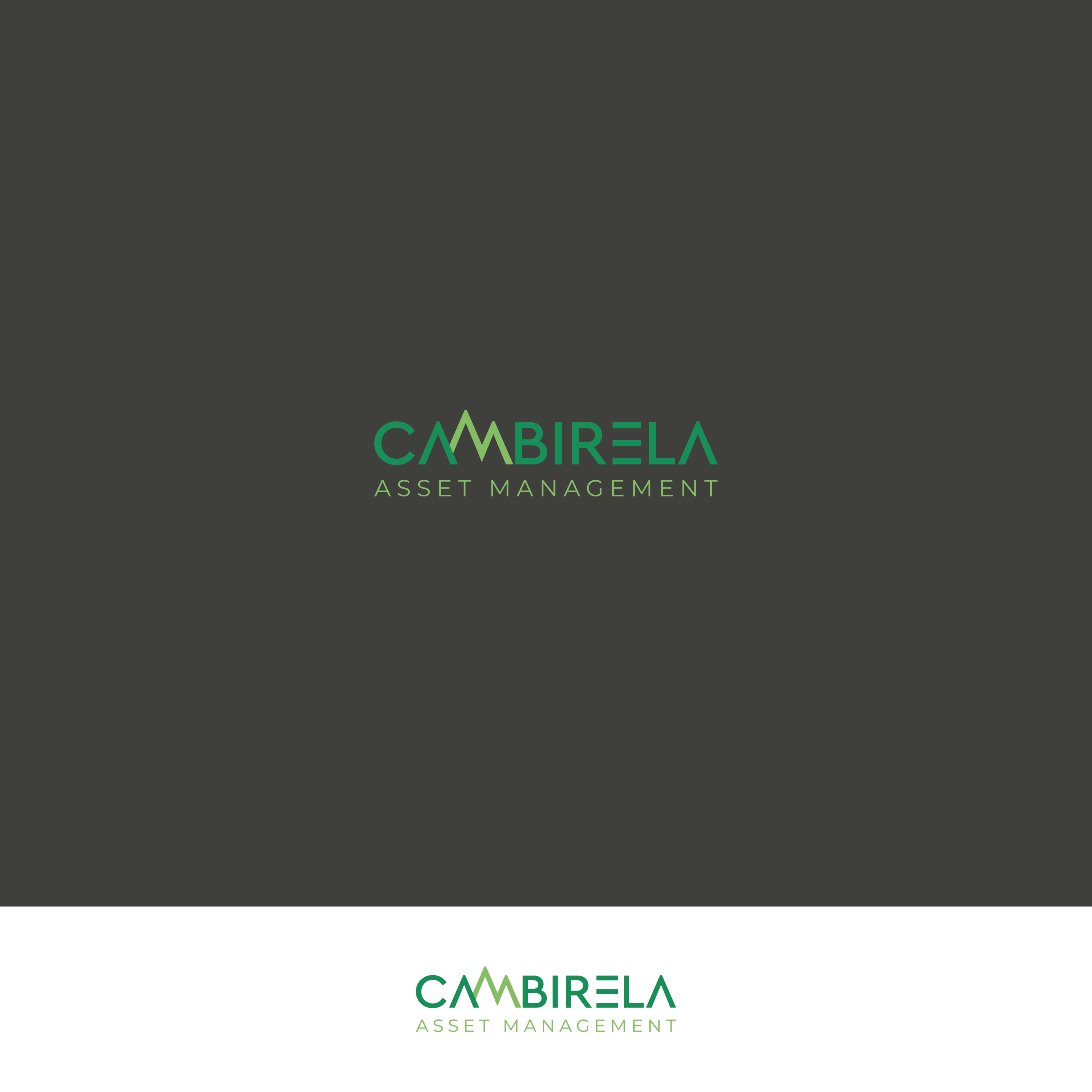 Logo-Design von Verified artistry (Design garden) für Cambirela Asset | Design #30045454