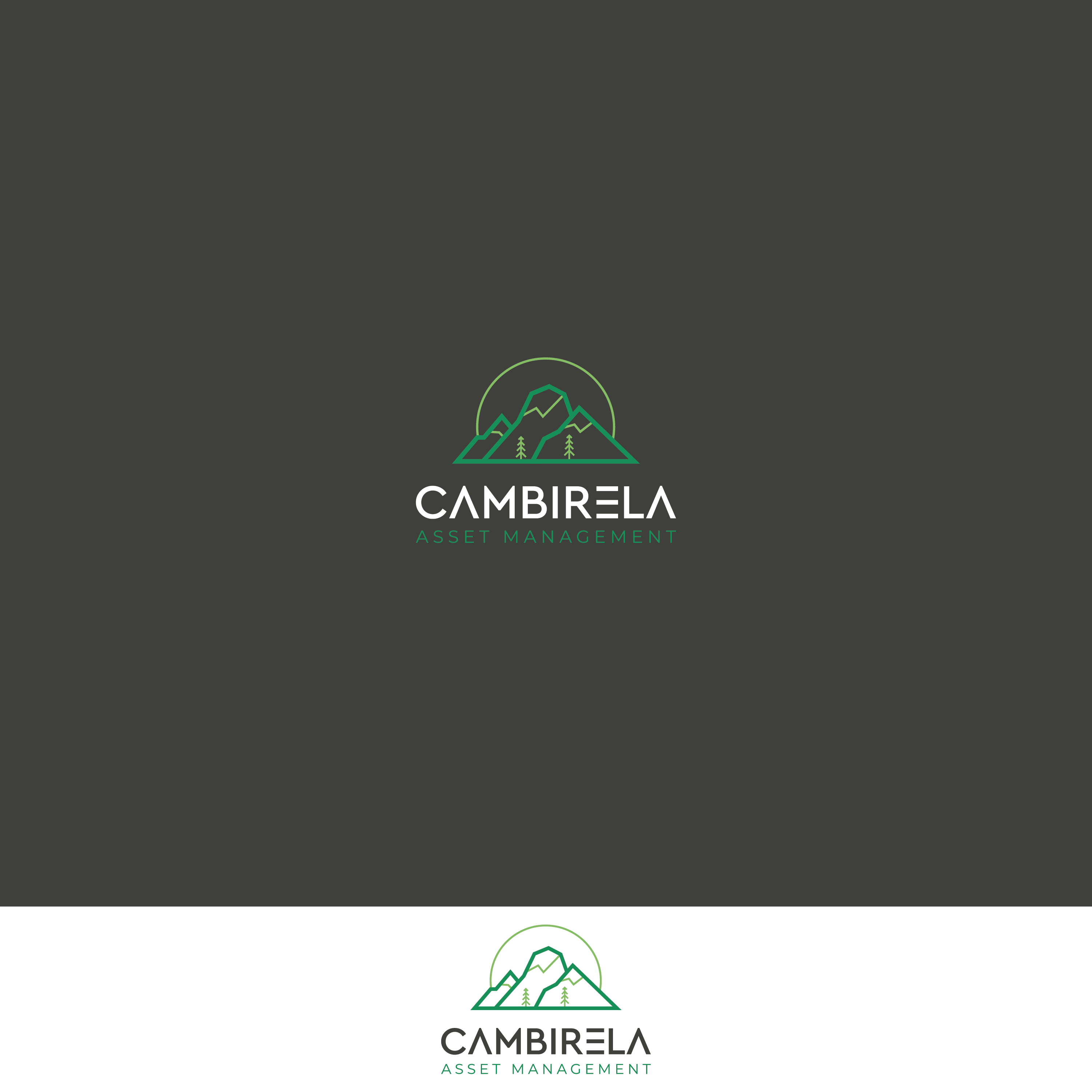 Logo-Design von Verified artistry (Design garden) für Cambirela Asset | Design #30045519