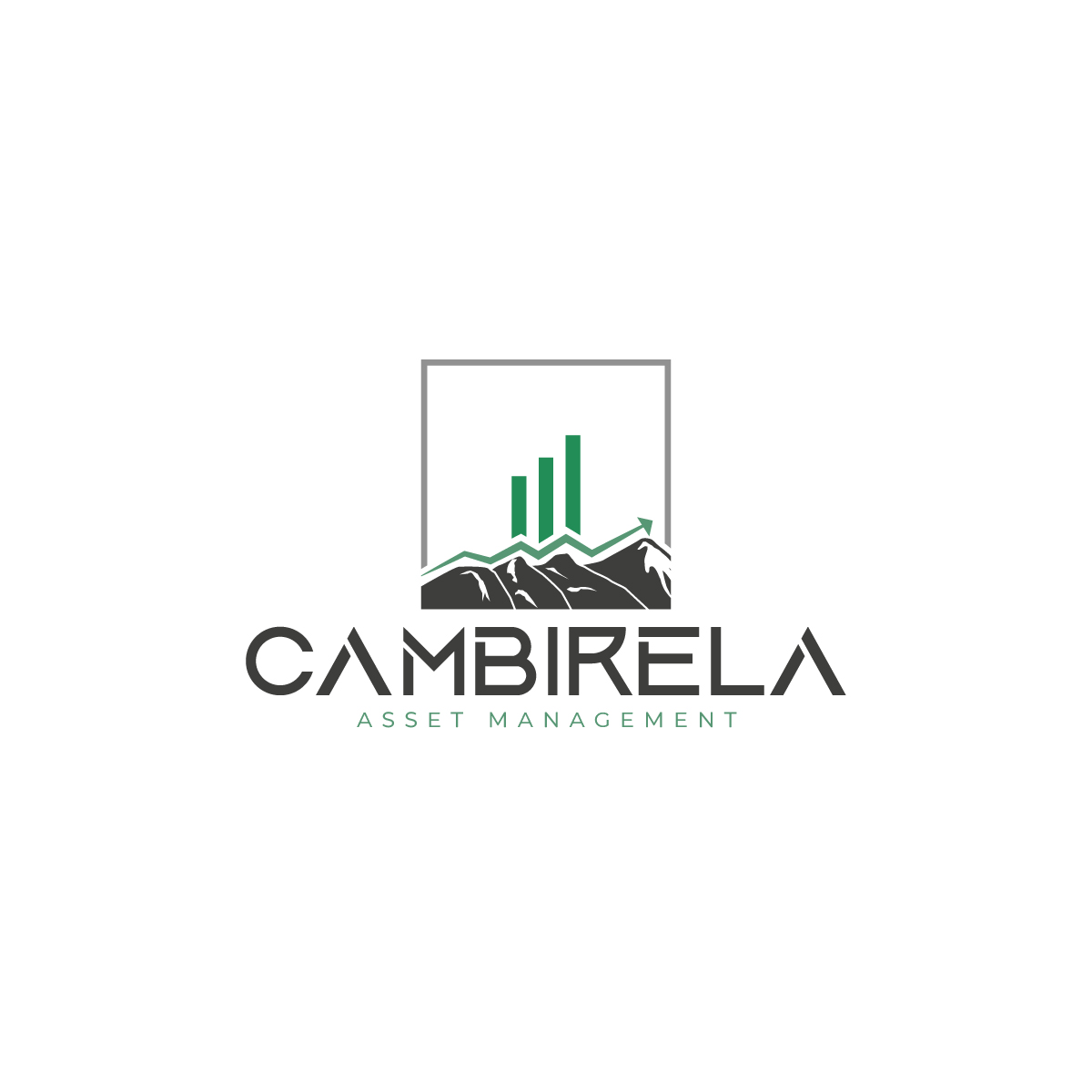 Logo Design by Owltive for Cambirela Asset | Design #30008764