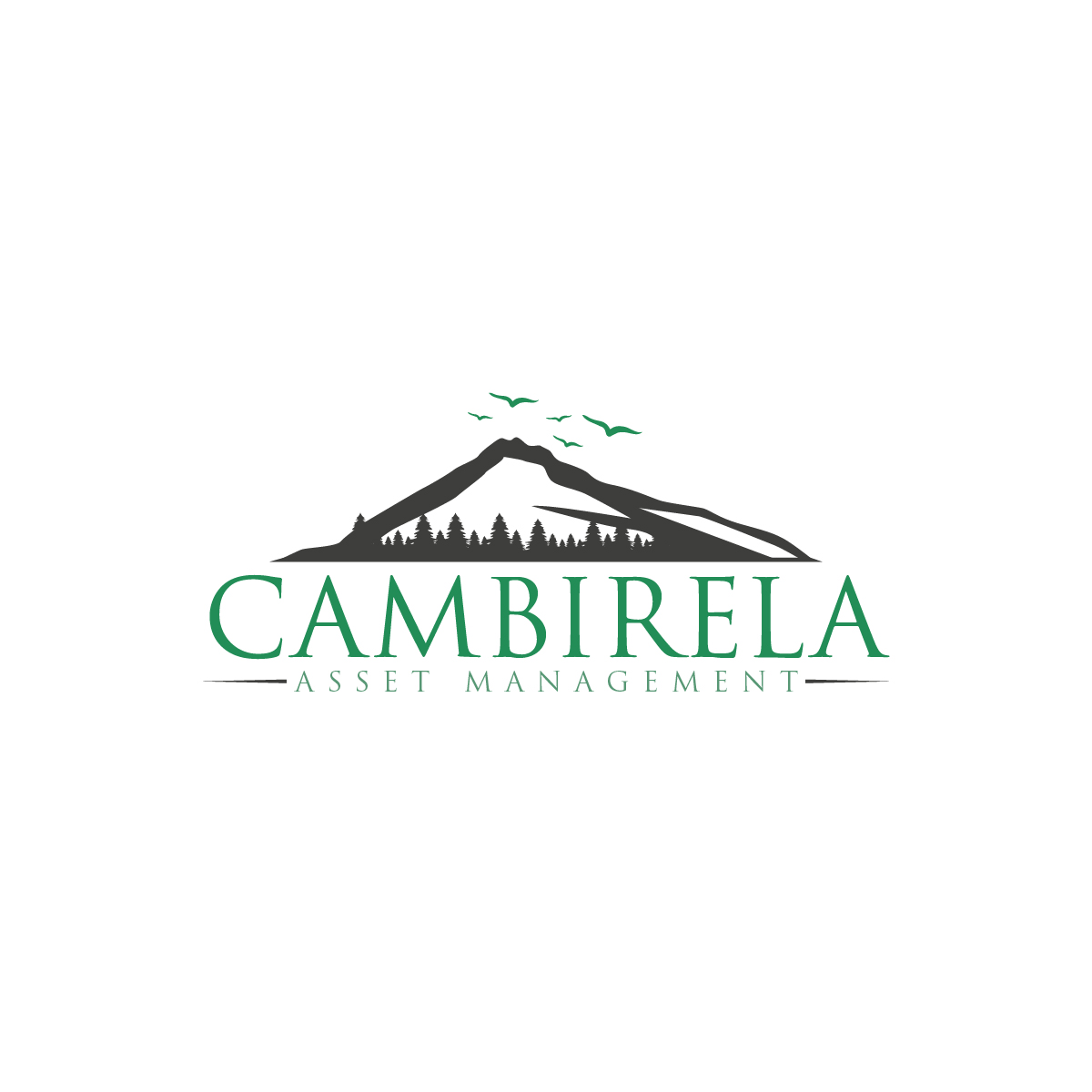 Logo Design by Owltive for Cambirela Asset | Design #30008766