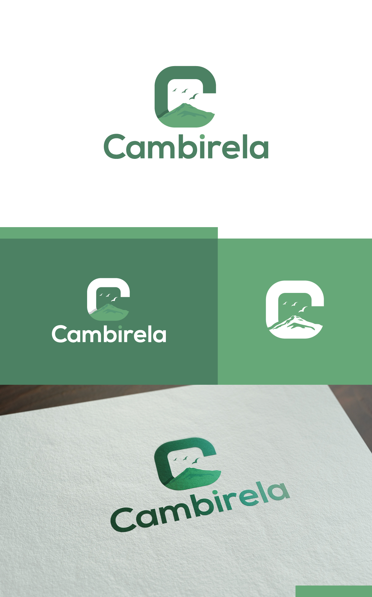 Logo-Design von creativepix für Cambirela Asset | Design #30012555