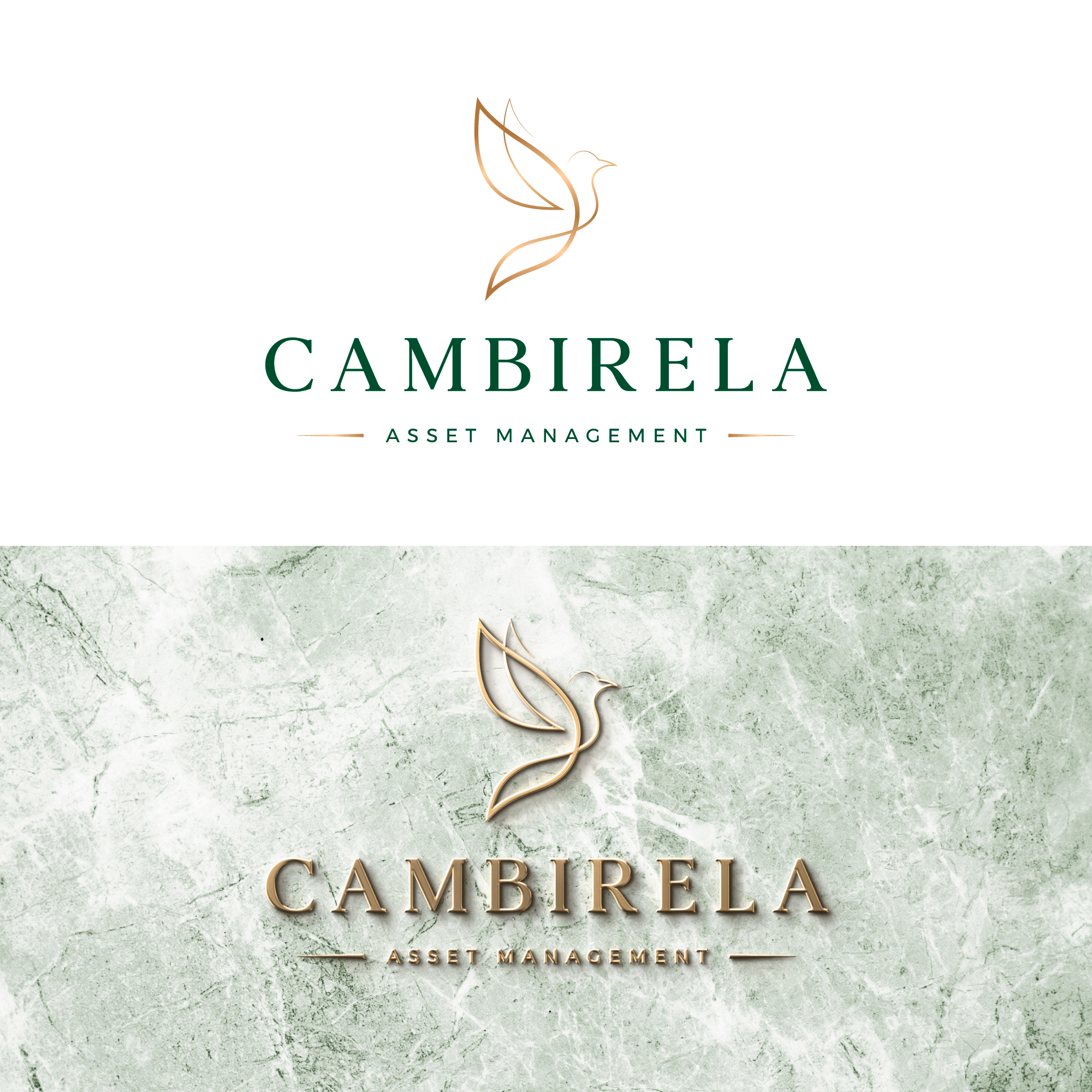 Logo Design by ChicGraphix for Cambirela Asset | Design #30008859