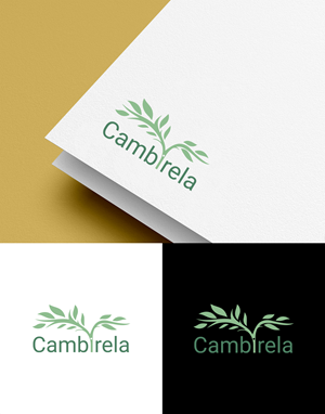 Logo-Design von sun_bird für Cambirela Asset | Design: #30045465