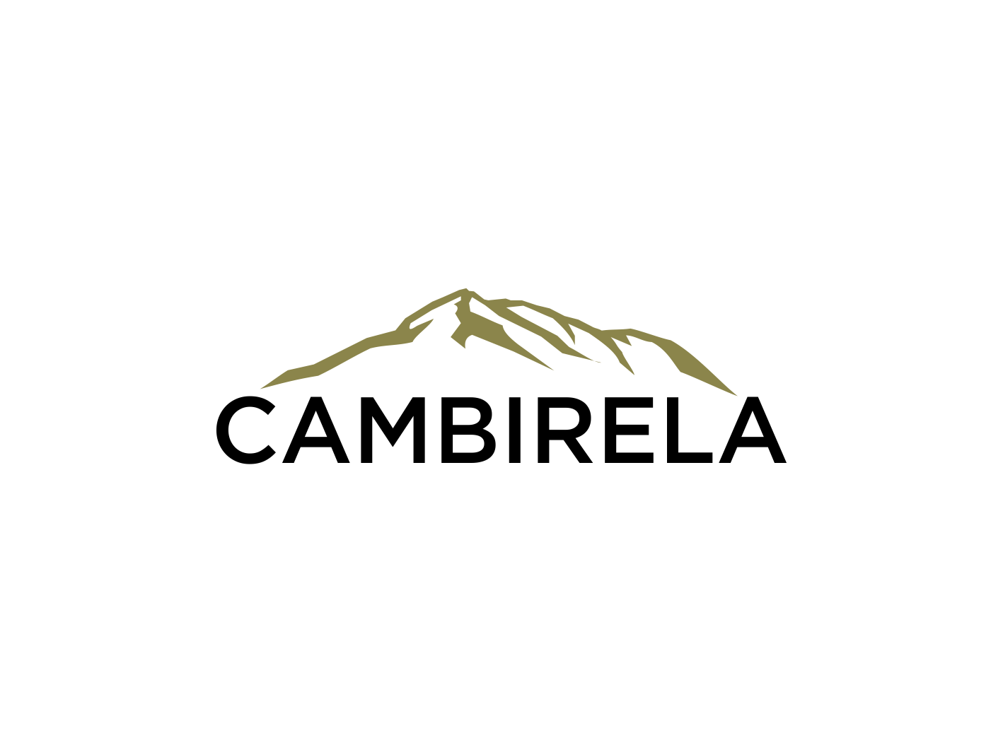 Logo-Design von BNdesigner für Cambirela Asset | Design #30015923