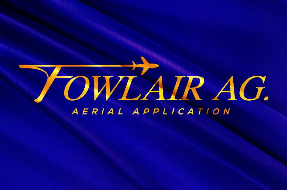 Logo-Design von DesignVerse777 für dieses Projekt | Design #30027926