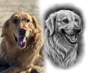 Design de Tatouage par Jezzus pour ce projet | Design : #30065616