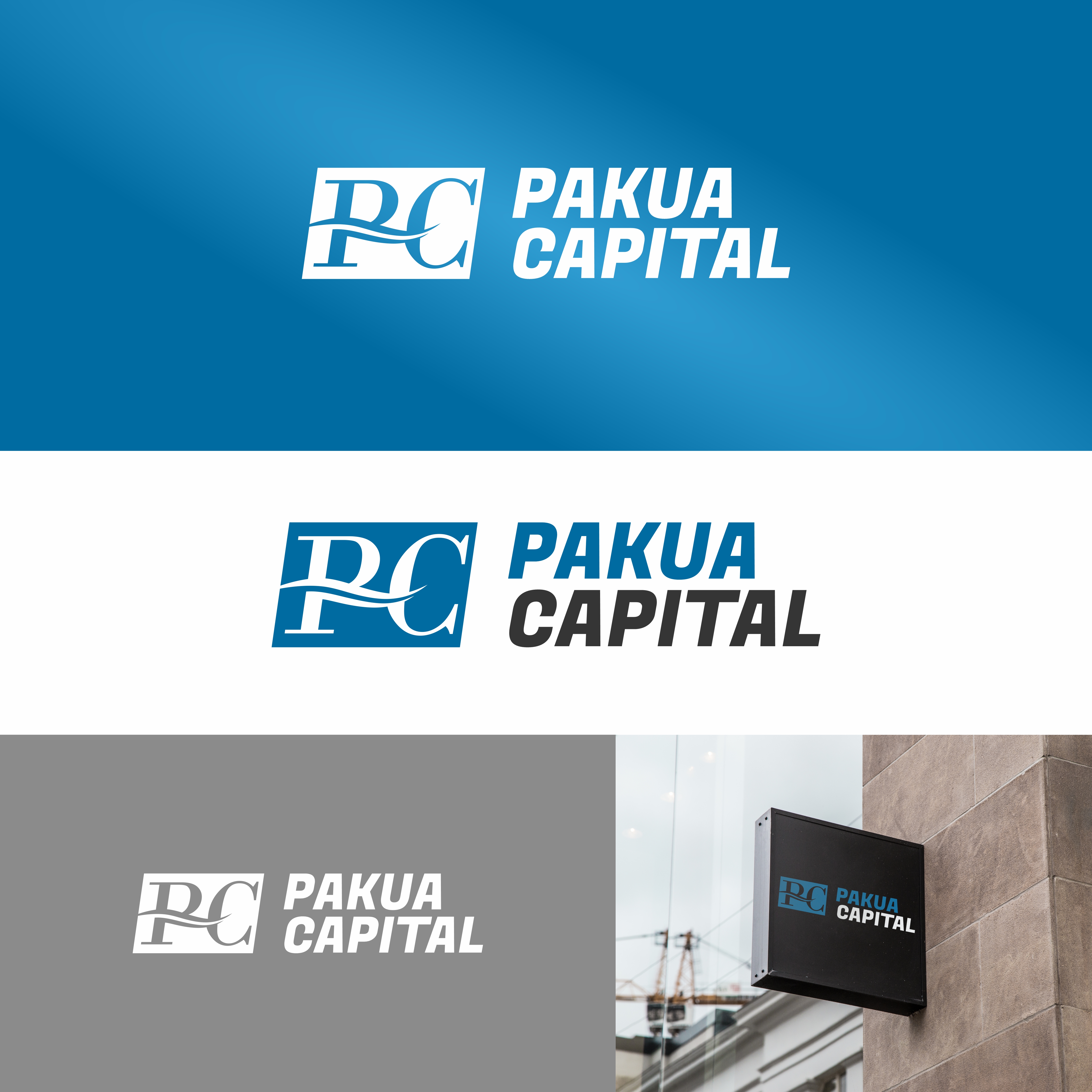 Design de Logo par enka94 pour PakuaCapital | Design #30029410