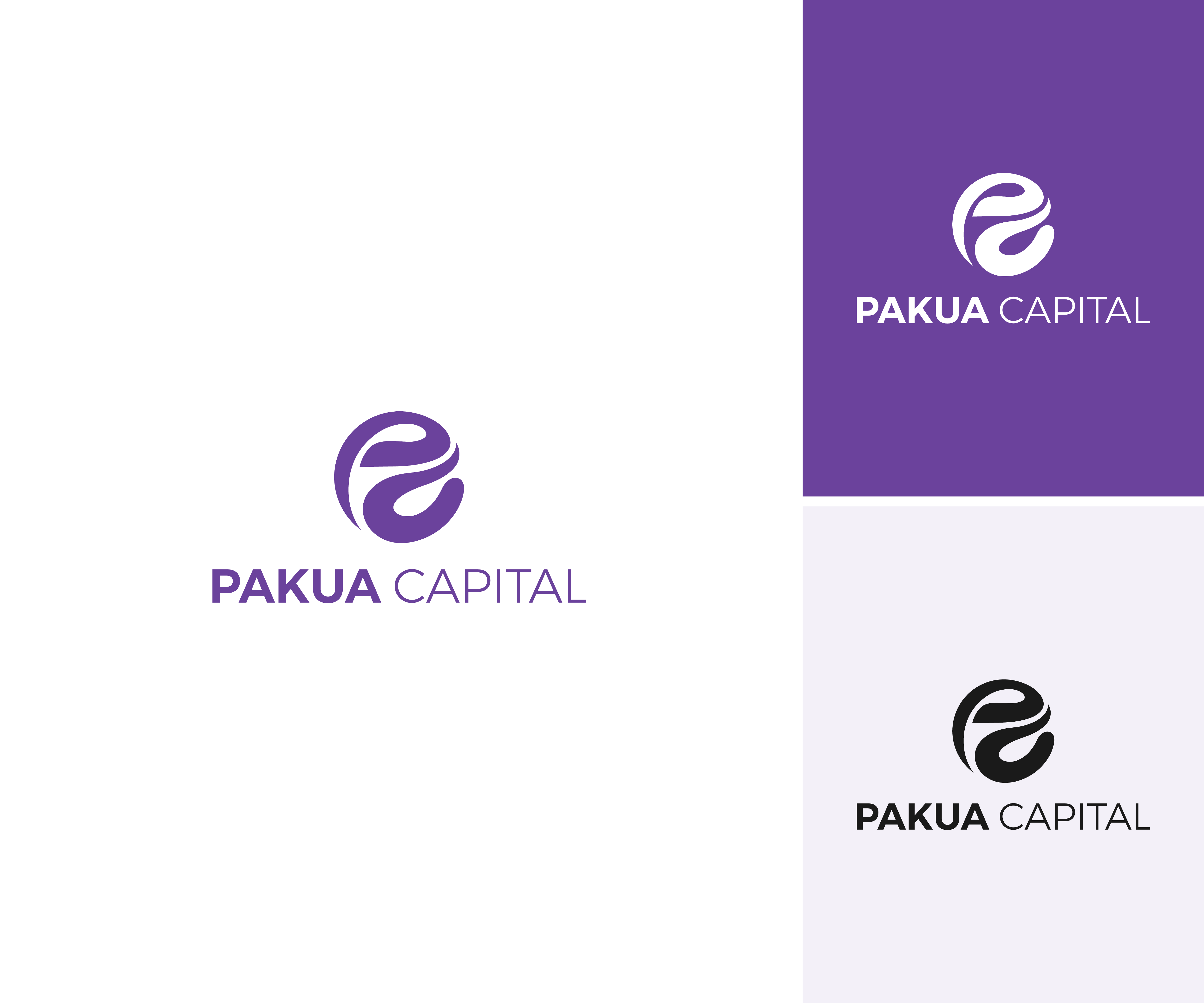 Logo-Design von N M Designs für PakuaCapital | Design #30062278