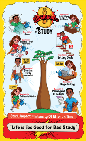 Infographic Design by ally designs