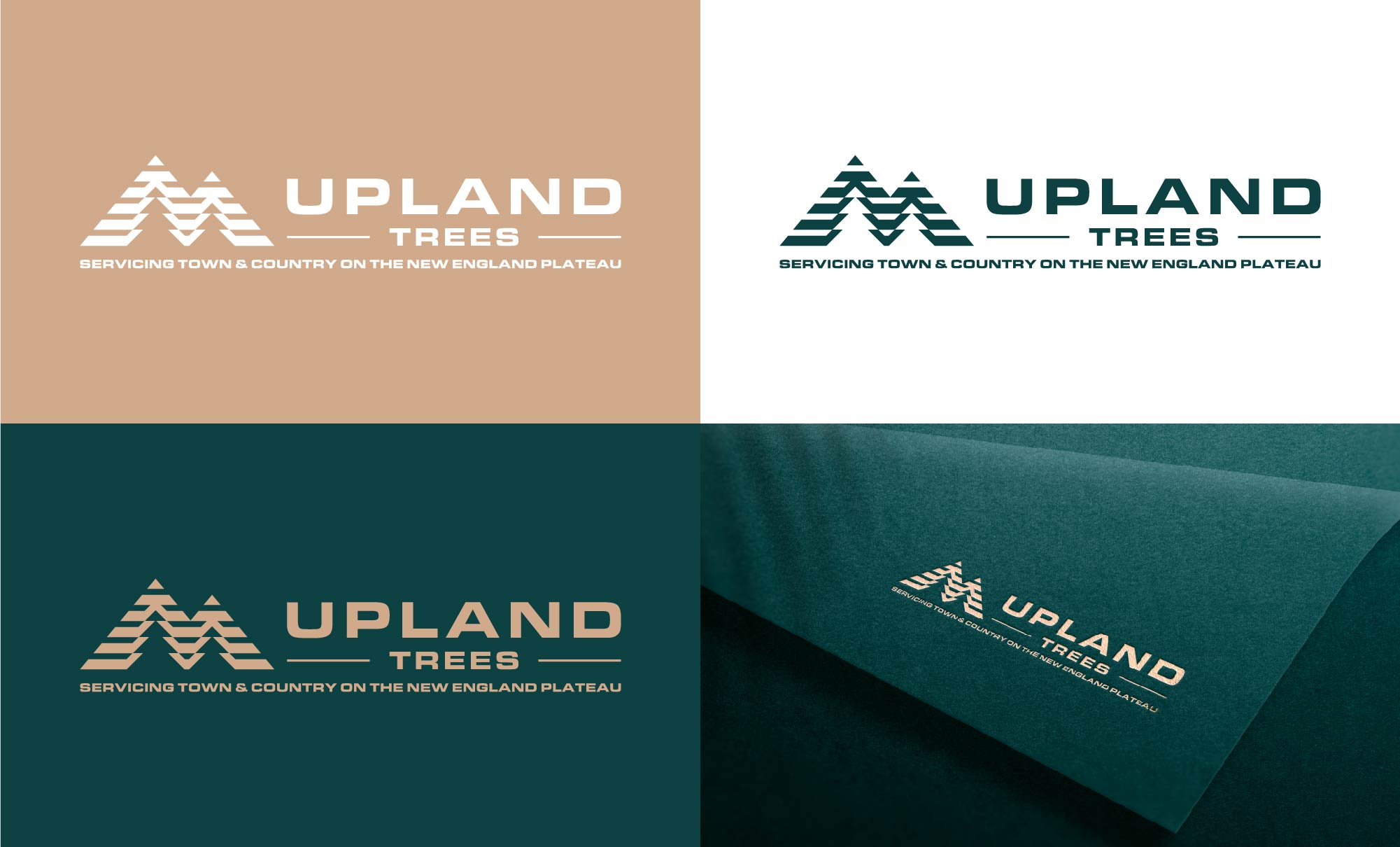 Logo Design by FransiskaDesign for this project | Design #30080685