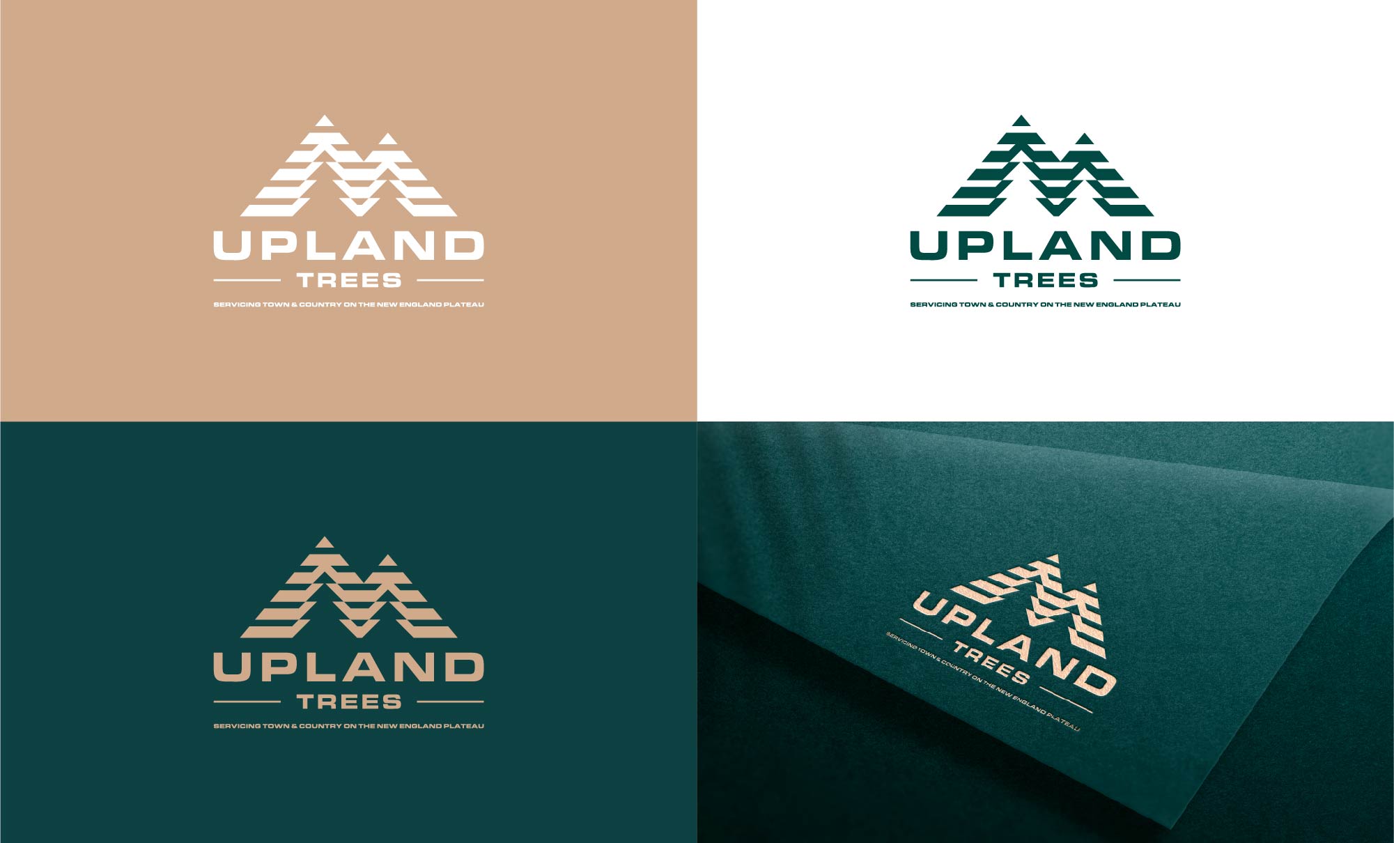 Logo Design by FransiskaDesign for this project | Design #30080686