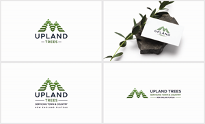 Logo Design by FransiskaDesign for this project | Design: #30125914