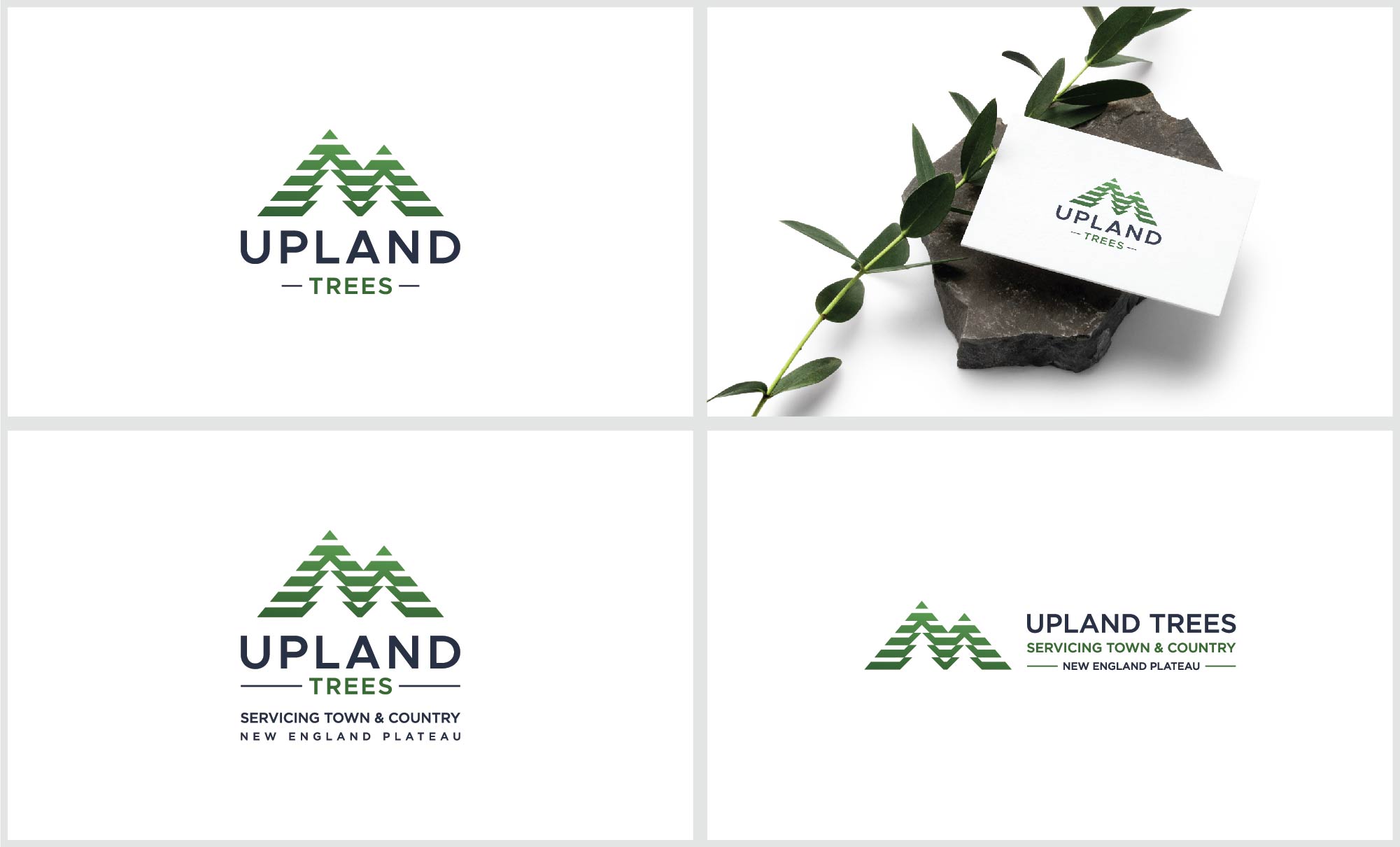 Logo Design by FransiskaDesign for this project | Design #30169463