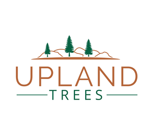 Logo Design by Maya*