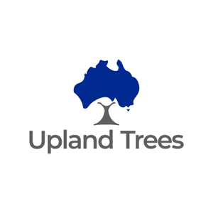 Logo Design by DiandraKali