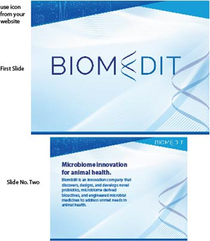 PowerPoint Design by Bullseye Pixel for this project | Design: #30035716
