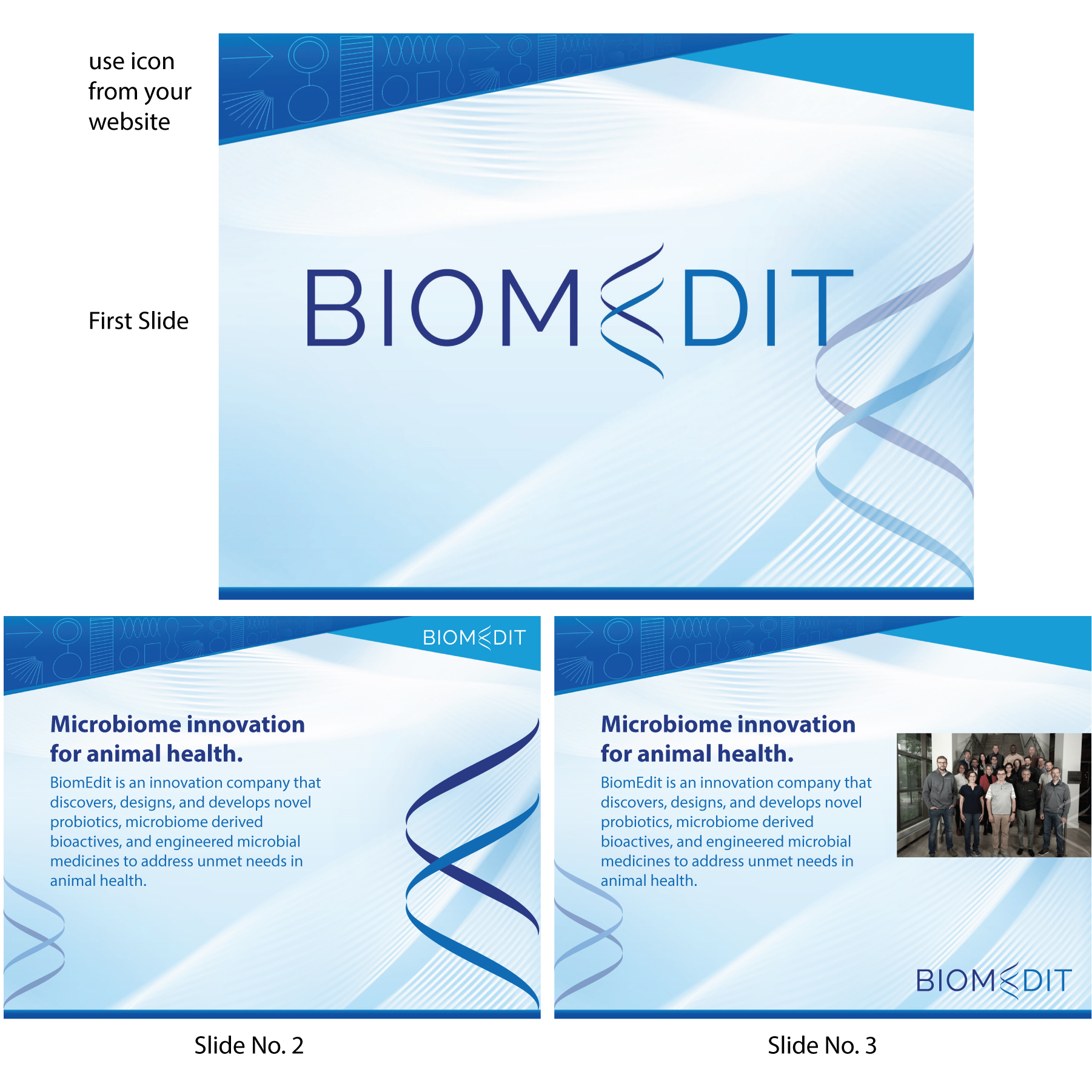 PowerPoint Design by Bullseye Pixel for this project | Design #30038154