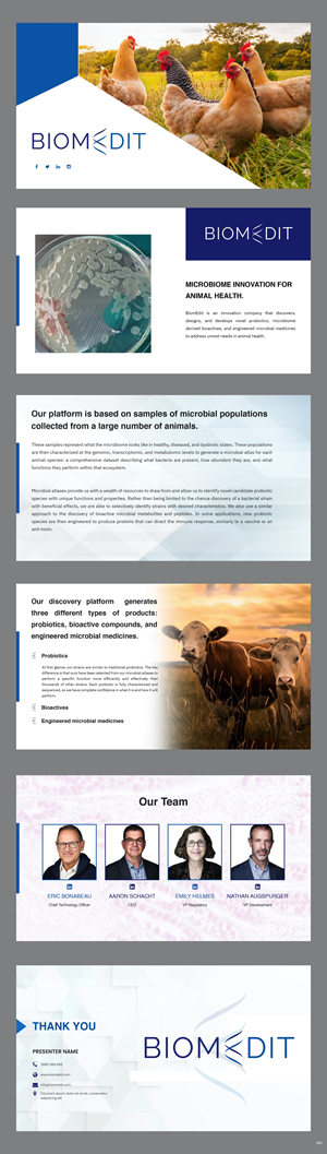 PowerPoint Design by pb for this project | Design: #30050175
