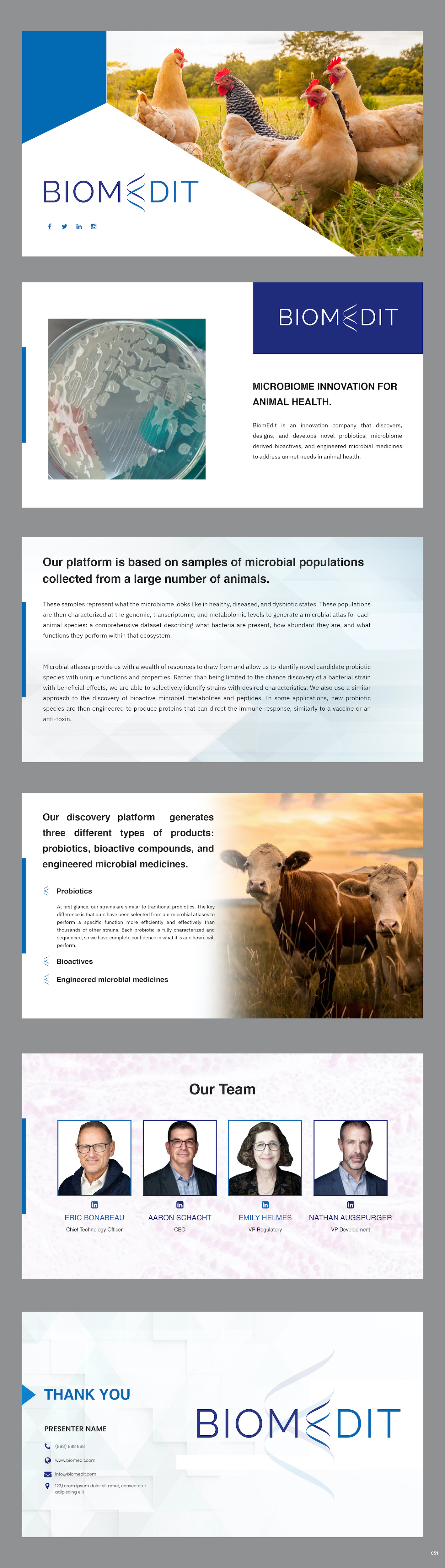 Diseño de PowerPoint por pb para este proyecto | Diseño #30063085