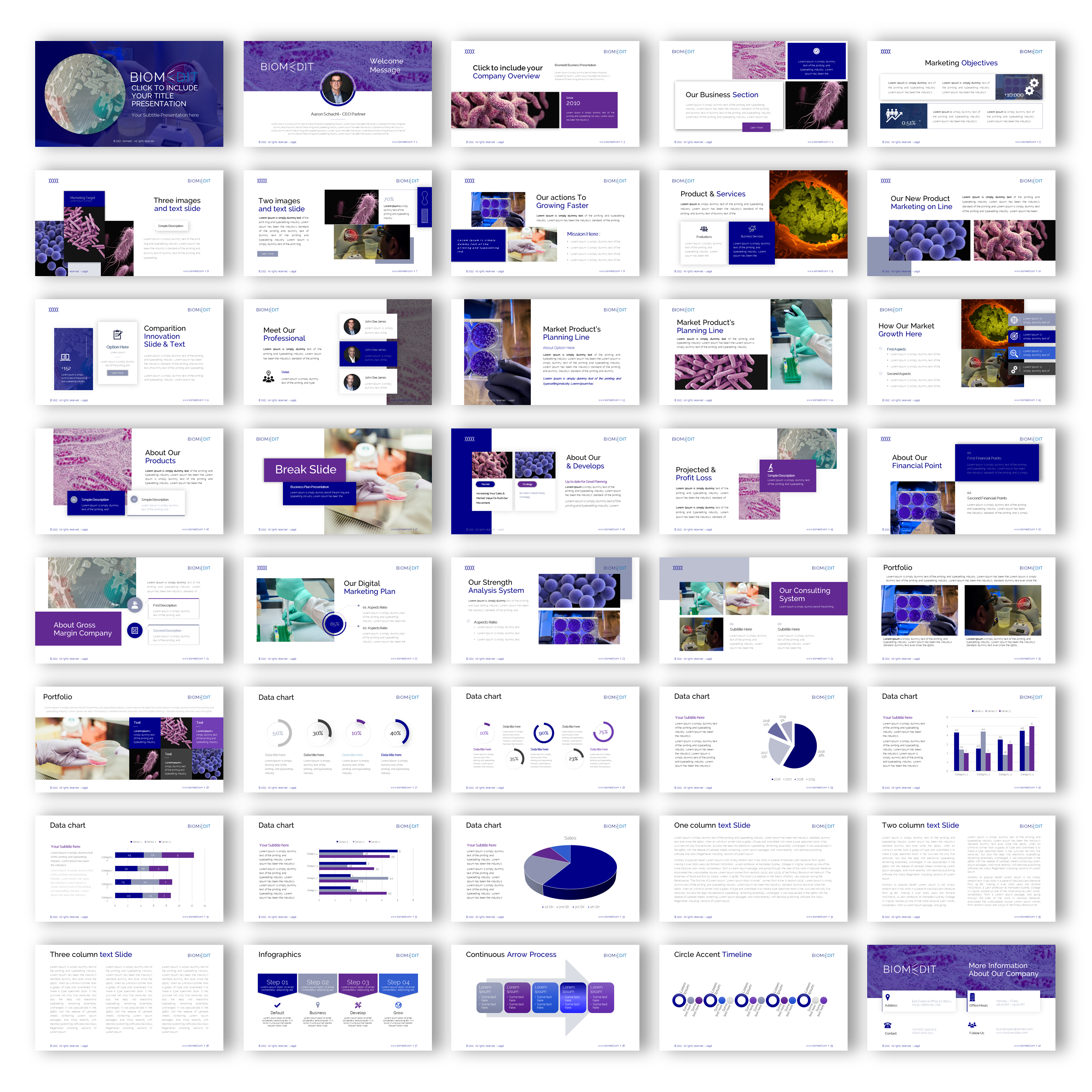 PowerPoint Design by joseborgesbarboza 2 for this project | Design #30072385
