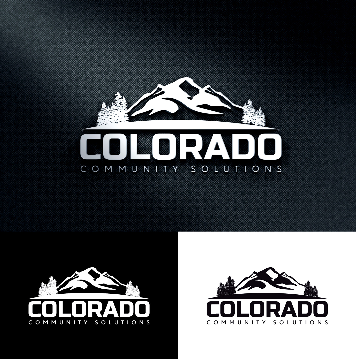 Logo Design by design 125 for Colorado Community Solutions  | Design #30044067