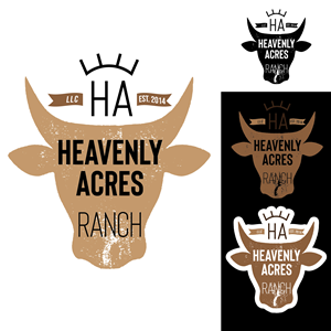 Logo Design by dccanim