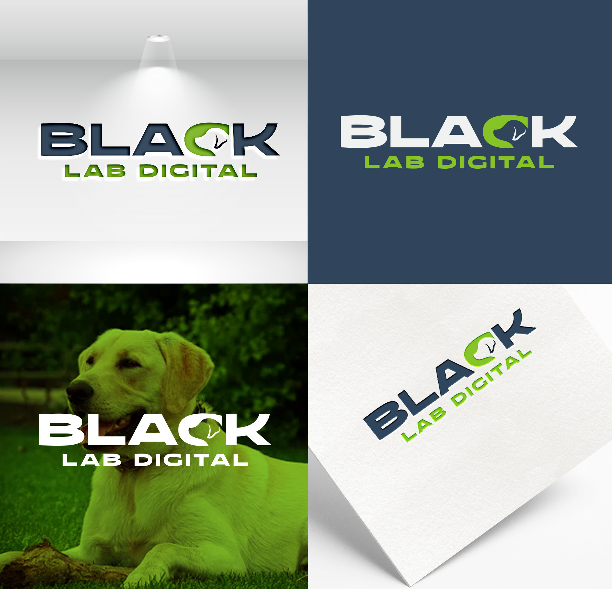 Logo Design by aexoagency for this project | Design #30048552