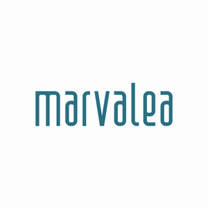 Logo Design by dhanuboy
