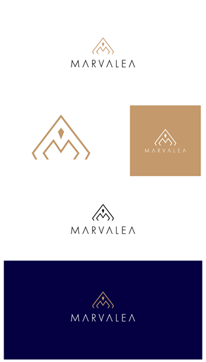 Design de Logo par Maxo-Biz pour ce projet | Design : #30061469