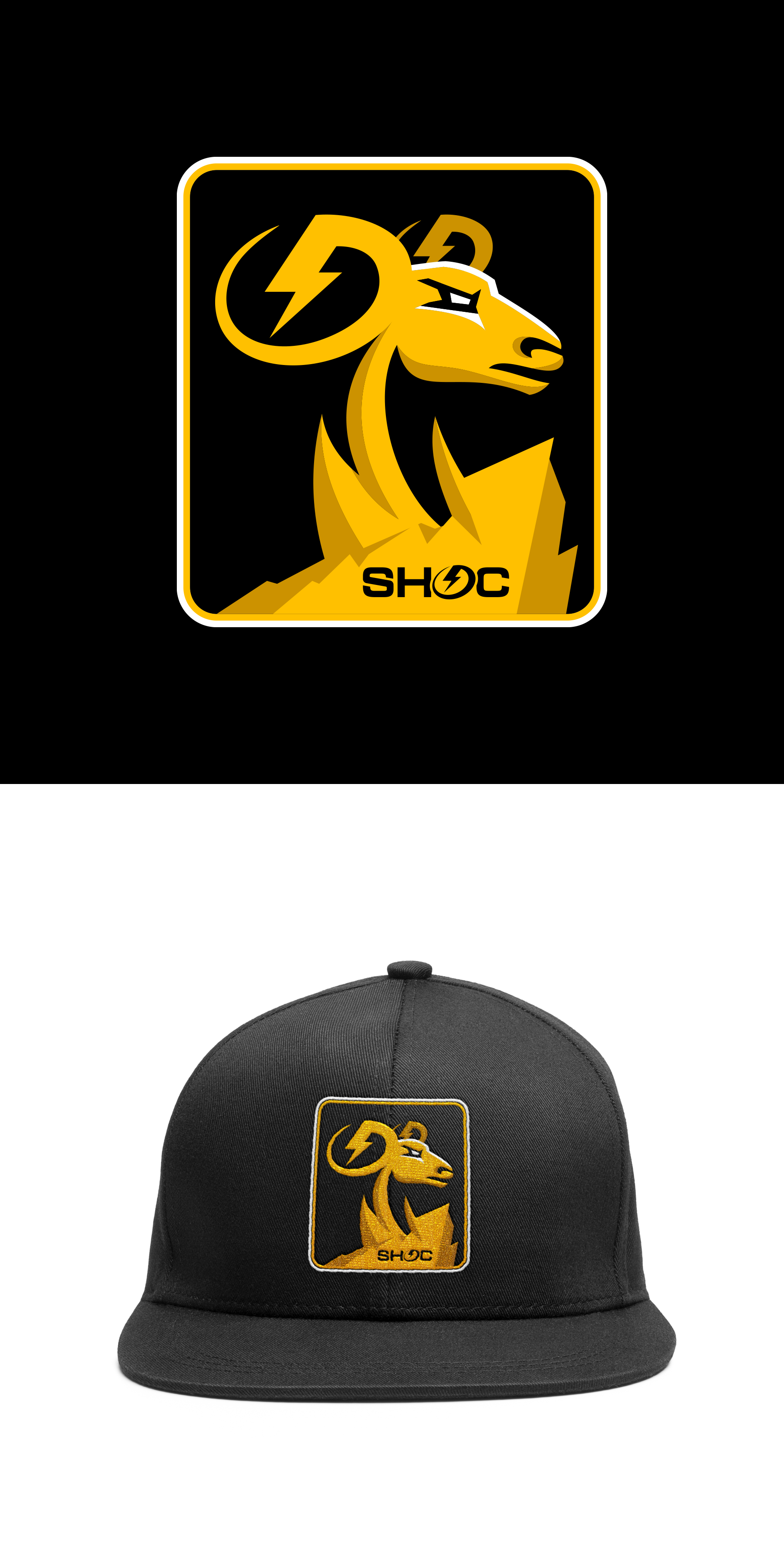 Vector Design by Oleksandr Tovarkov for SHOC | Design #30087386