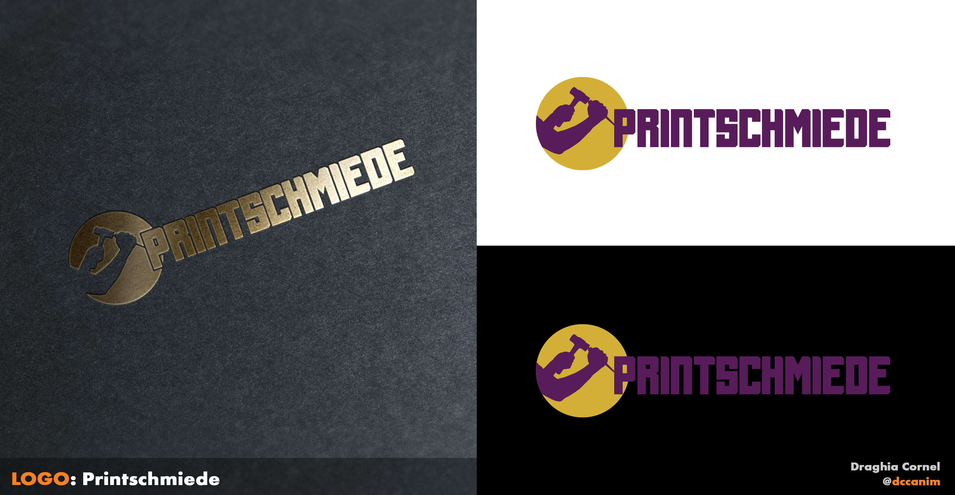 Logo Design by dccanim for this project | Design #30054992
