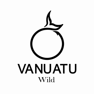 Logo Design by BOMBAS