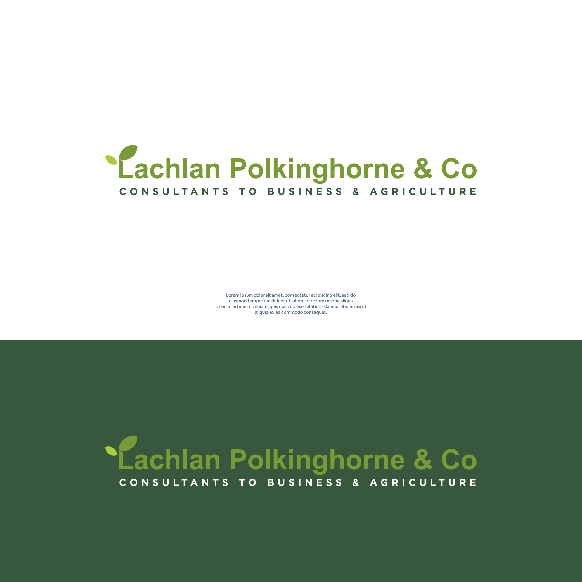 Logo Design by DesignFirst for Lachlan Polkinghorne @ Co | Design #30059988
