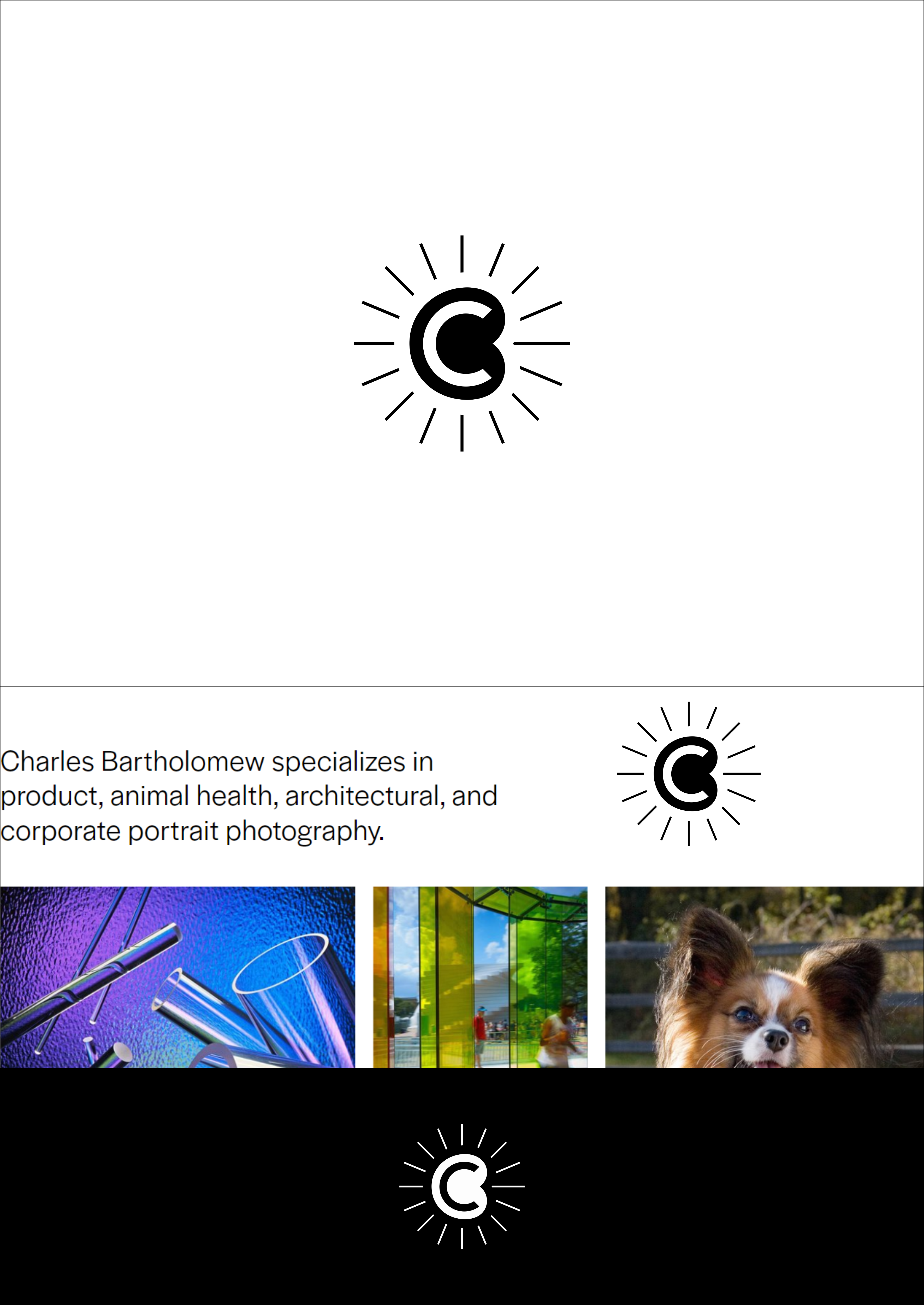 Logo Design by R!CKY for this project | Design #30105826