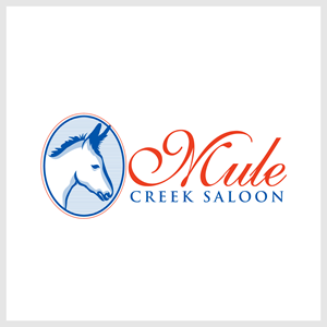 Logo Design by Revolt Team
