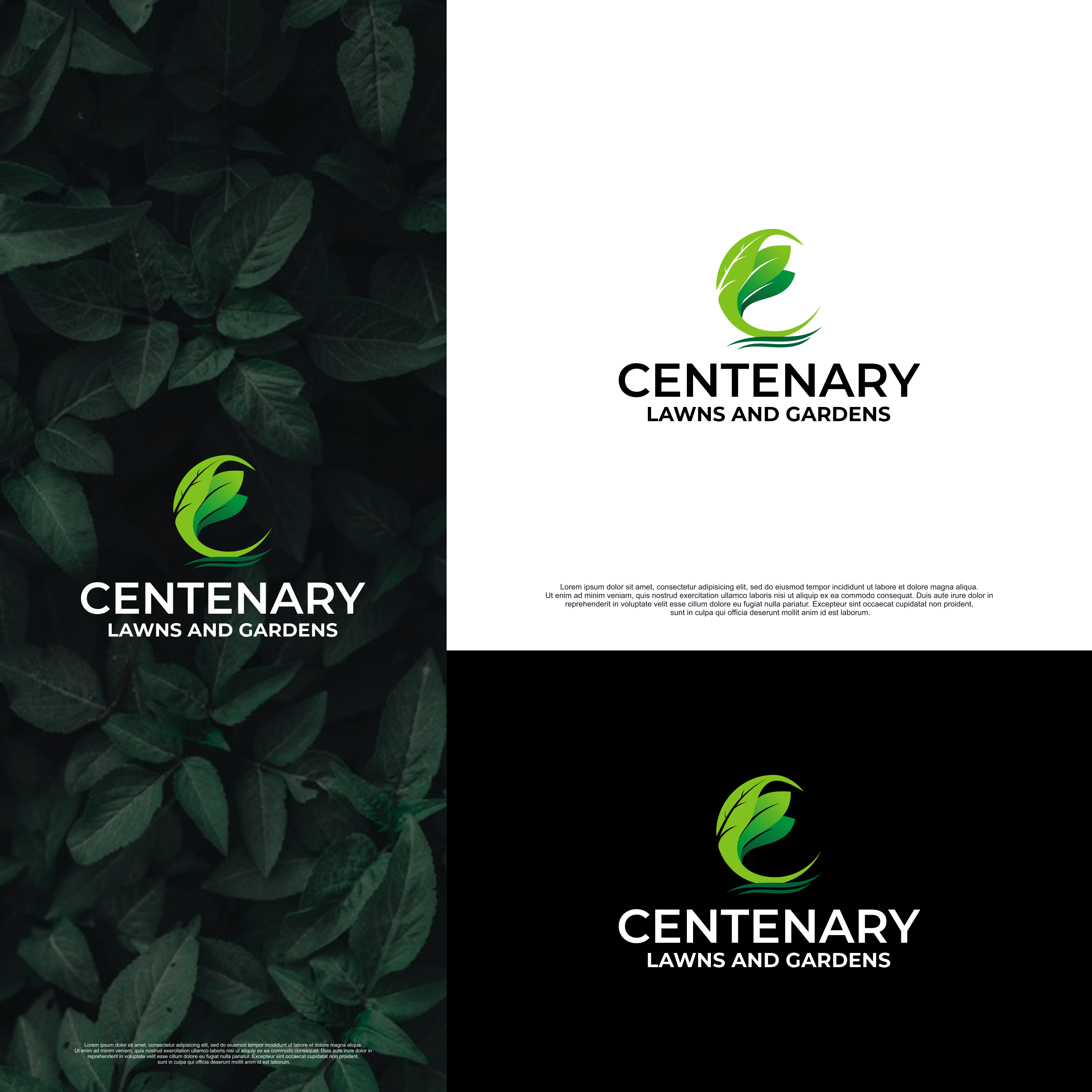 Design de Logo par -sae- pour ce projet | Design #30082988