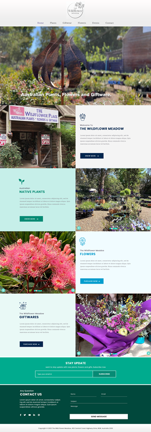 Web Design by Expert Designer