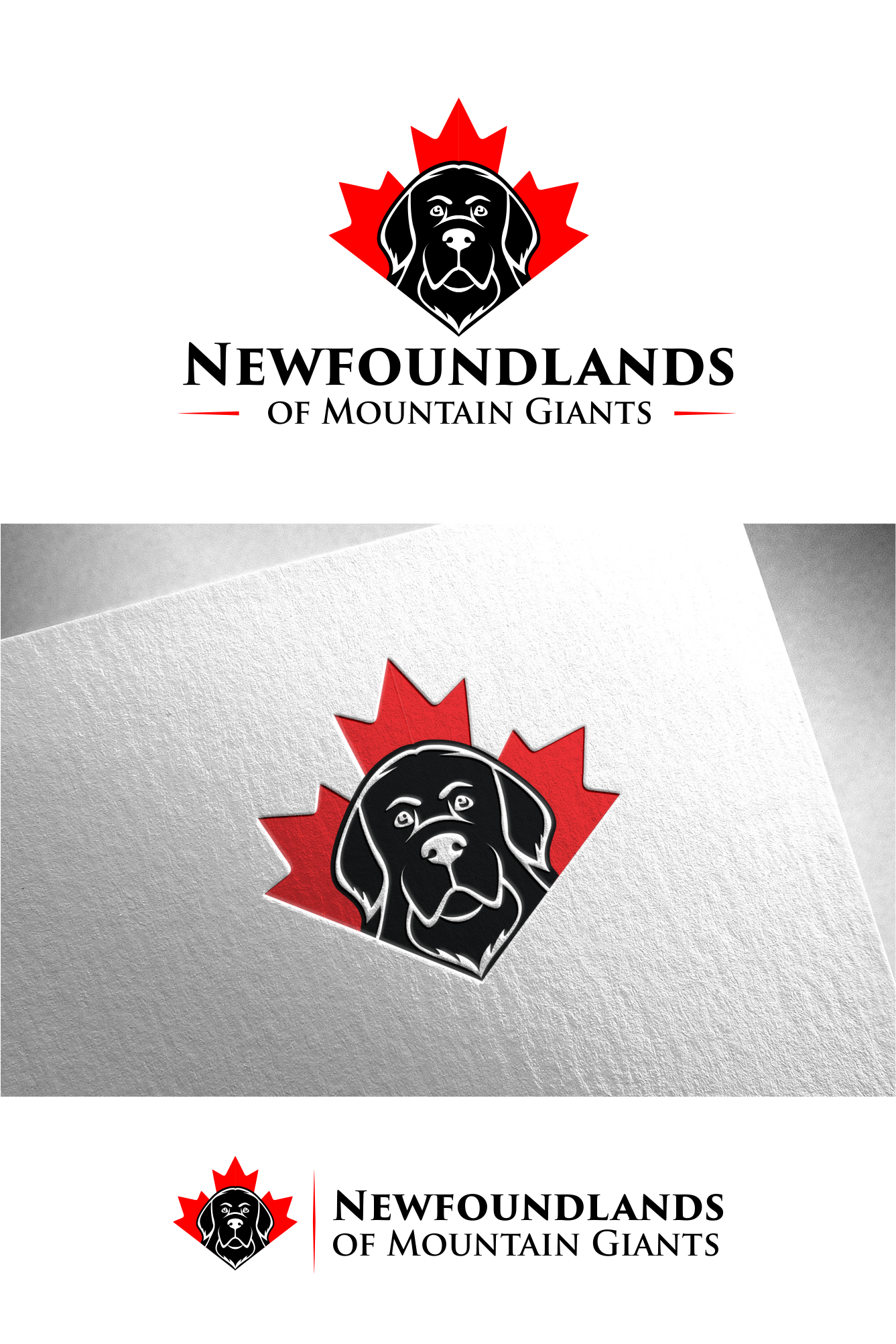 Logo Design by xygo_bg for this project | Design #30081653