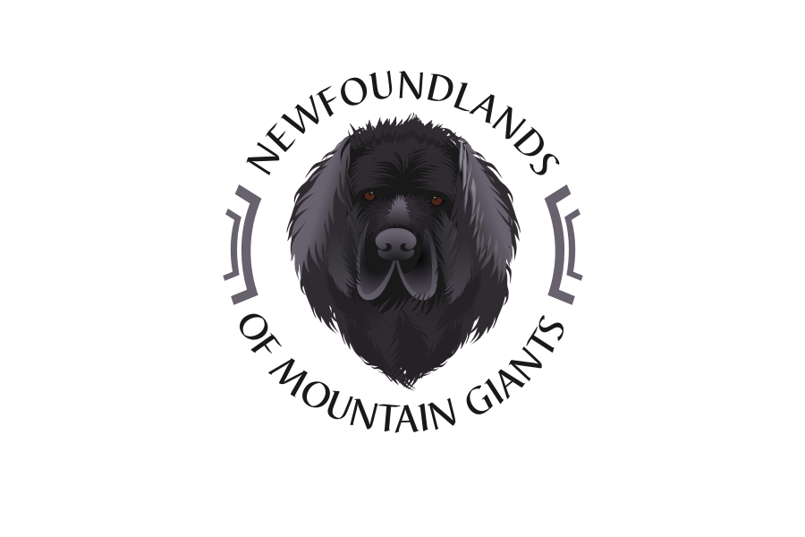 Logo Design by iamrady for this project | Design #30114213