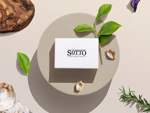 Logo Design by ILLUSTRATOR PRO for Peperosso ltd | Design: #30126067